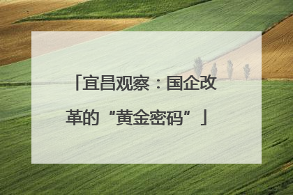 宜昌观察：国企改革的“黄金密码”