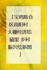 宝鸡陈仓区南阳村：大棚经济结硕果 乡村振兴绘新图