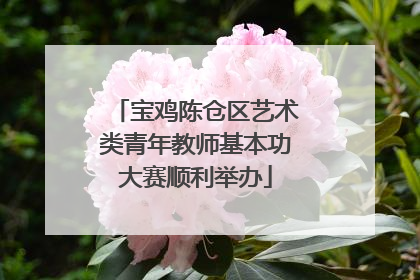 宝鸡陈仓区艺术类青年教师基本功大赛顺利举办