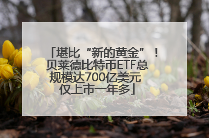 堪比“新的黄金”！贝莱德比特币ETF总规模达700亿美元 仅上市一年多