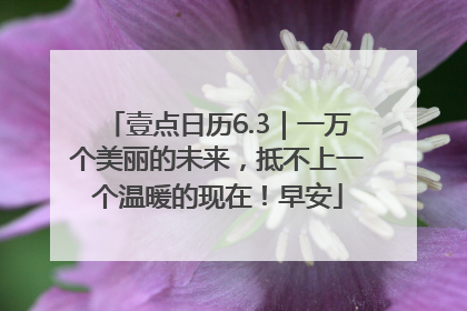 壹点日历6.3｜一万个美丽的未来，抵不上一个温暖的现在！早安