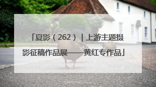 夏影（262）｜上游主题摄影征稿作品展——黄红专作品