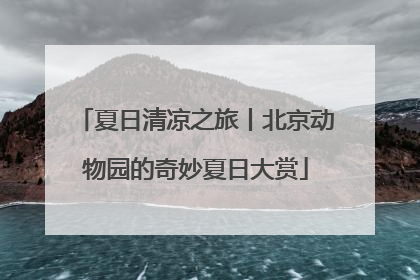 夏日清凉之旅丨北京动物园的奇妙夏日大赏