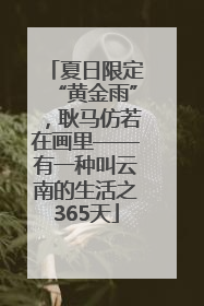 夏日限定“黄金雨”，耿马仿若在画里——有一种叫云南的生活之365天