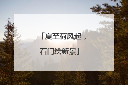 夏至荷风起，石门绘新景