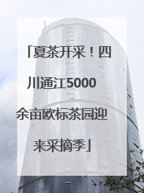 夏茶开采！四川通江5000余亩欧标茶园迎来采摘季