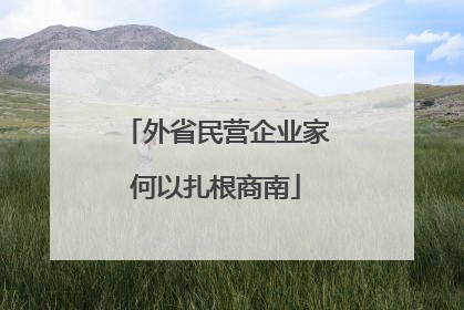 外省民营企业家何以扎根商南