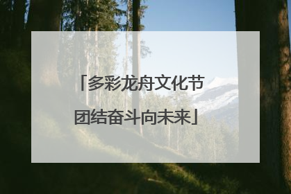 多彩龙舟文化节 团结奋斗向未来