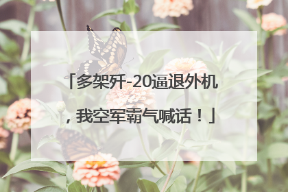 多架歼-20逼退外机，我空军霸气喊话！