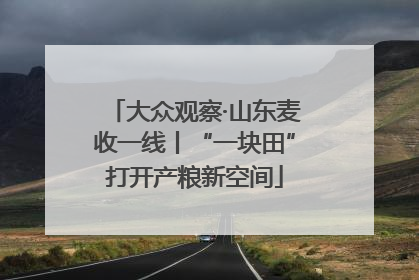 大众观察·山东麦收一线丨“一块田”打开产粮新空间