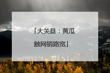 大关县：黄瓜触网销路宽