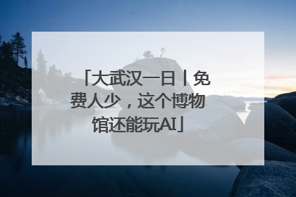 大武汉一日丨免费人少，这个博物馆还能玩AI