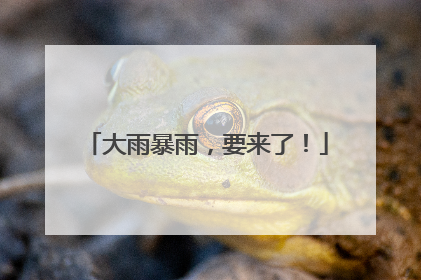 大雨暴雨，要来了！
