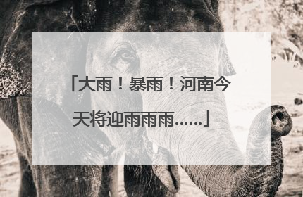 大雨！暴雨！河南今天将迎雨雨雨……