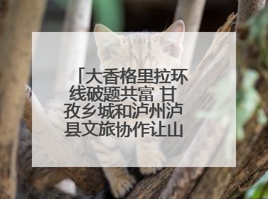大香格里拉环线破题共富 甘孜乡城和泸州泸县文旅协作让山河变“媒介”