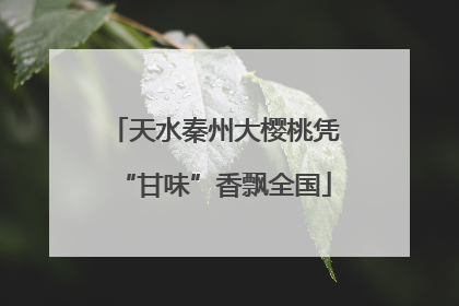 天水秦州大樱桃凭“甘味”香飘全国