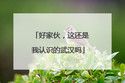 好家伙，这还是我认识的武汉吗