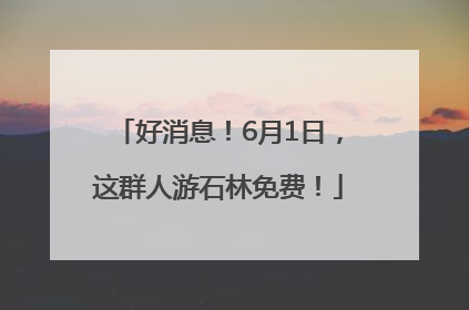 好消息！6月1日，这群人游石林免费！