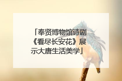 奉贤博物馆诗剧《看尽长安花》展示大唐生活美学