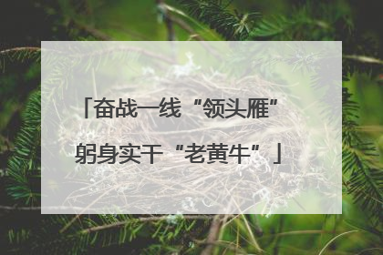 奋战一线“领头雁” 躬身实干“老黄牛”