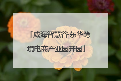 威海智慧谷·东华跨境电商产业园开园