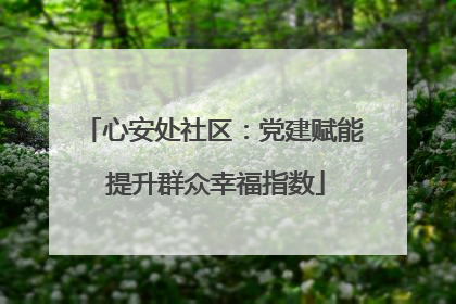 心安处社区：党建赋能 提升群众幸福指数
