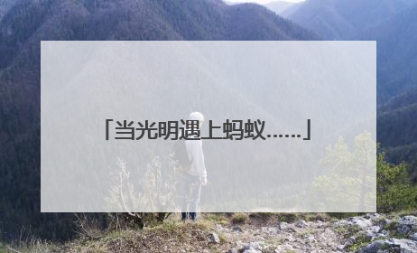 当光明遇上蚂蚁……