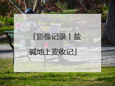 影像记录丨盐碱地上麦收记