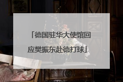 德国驻华大使馆回应樊振东赴德打球