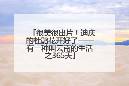 很美很出片！迪庆的杜鹃花开好了——有一种叫云南的生活之365天