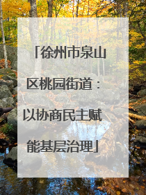 徐州市泉山区桃园街道：以协商民主赋能基层治理