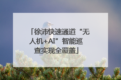 徐沛快速通道“无人机+AI”智能巡查实现全覆盖