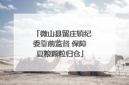 微山县留庄镇纪委靠前监督 保障夏粮颗粒归仓