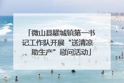 微山县驩城镇第一书记工作队开展“送清凉、助生产”慰问活动