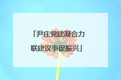 尹庄党建凝合力 联建议事促振兴