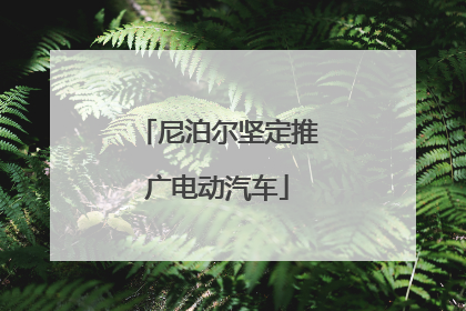 尼泊尔坚定推广电动汽车
