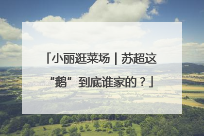 小丽逛菜场｜苏超这“鹅”到底谁家的？