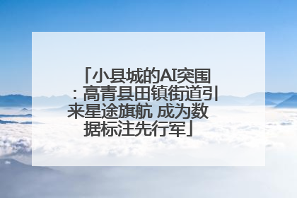 小县城的AI突围：高青县田镇街道引来星途旗航 成为数据标注先行军