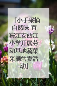 小手采摘自然味 宜宾江安西江小学开展劳动基地蔬菜采摘售卖活动