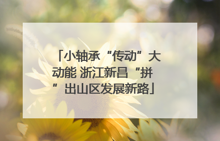 小轴承“传动”大动能 浙江新昌“拼”出山区发展新路