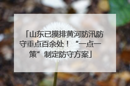 山东已摸排黄河防汛防守重点百余处！“一点一策”制定防守方案