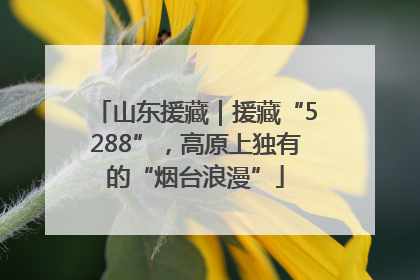 山东援藏｜援藏“5288”，高原上独有的“烟台浪漫”