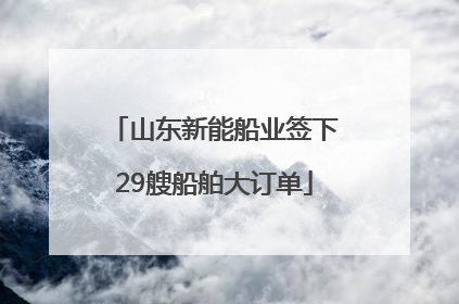 山东新能船业签下29艘船舶大订单