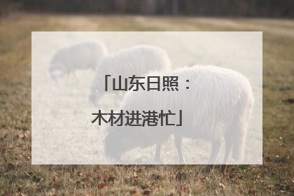 山东日照：木材进港忙