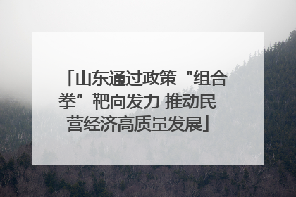 山东通过政策“组合拳”靶向发力 推动民营经济高质量发展