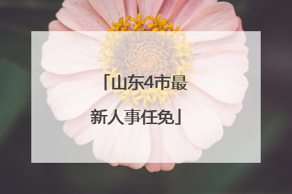 山东4市最新人事任免