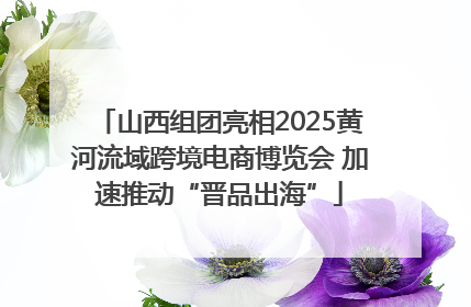 山西组团亮相2025黄河流域跨境电商博览会 加速推动“晋品出海”