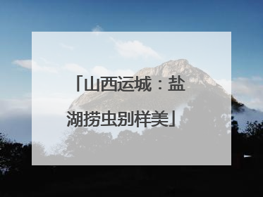 山西运城：盐湖捞虫别样美