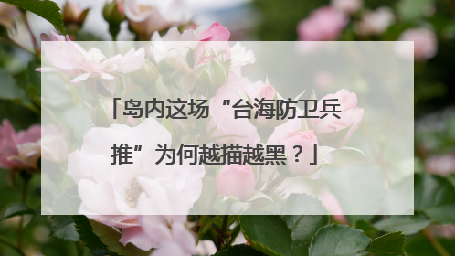 岛内这场“台海防卫兵推”为何越描越黑？