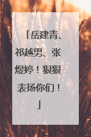 岳建青、祁越男、张煜婷！狠狠表扬你们！